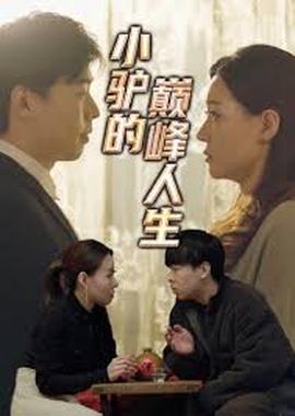 小驴的巅峰人生(全集)