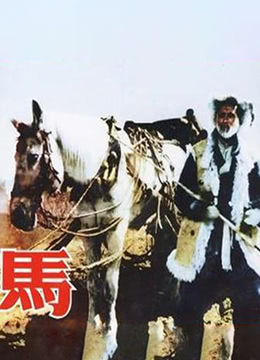 马 1956(全集)